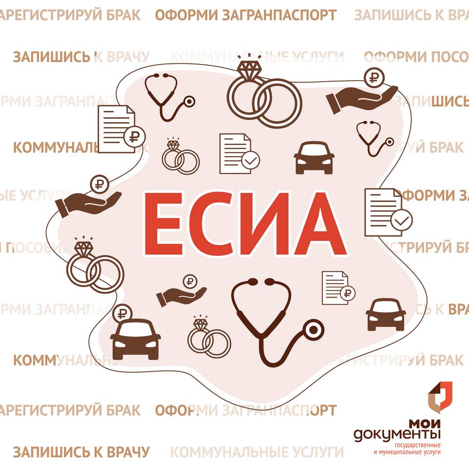 Как записаться в МФЦ через интернет
