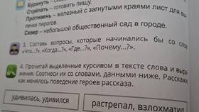 Что сказать в качестве поддержки: слова, которые помогают