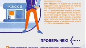 Что значит положительный баланс в ФНС