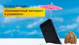 Как докупить интернет на Билайне в Мосхозторг