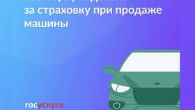 Как оформить ОСАГО онлайн через Госуслуги в Мосхозторг
