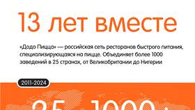 Почему не работает приложение Додо Пицца в Мосхозторг