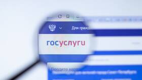 Почему не стоит регистрироваться на Госуслугах в Мосхозторг