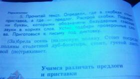 Предлог и приставка: как их различить в Мосхозторг