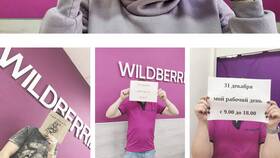 Видят ли продавцы на Wildberries, что я заказываю в Мосхозторг