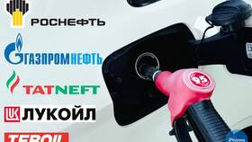 Золотая карта ЛУКОЙЛ: что дает в Мосхозторг