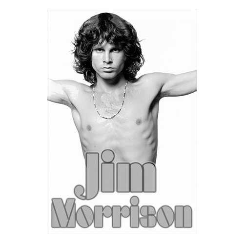 Постер СТ-Диалог Jim Morrison, МУЗ-314, лам.бумага, 60х90 см в Мосхозторг