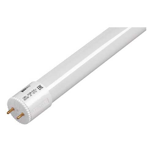 Лампочка Jazzway 1032492 G13 10W в Мосхозторг
